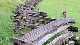 Old chestnut rail fence