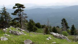 Whitetop Mountain