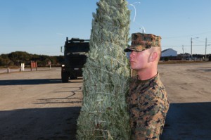 Camp LeJeune Marine accepts tree