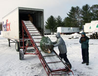 Loading trees